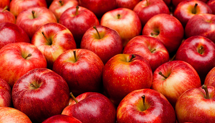 大家都在PPAP！你可以不愛吃蘋果，但不能不知道Apple的實用英文俚語！
