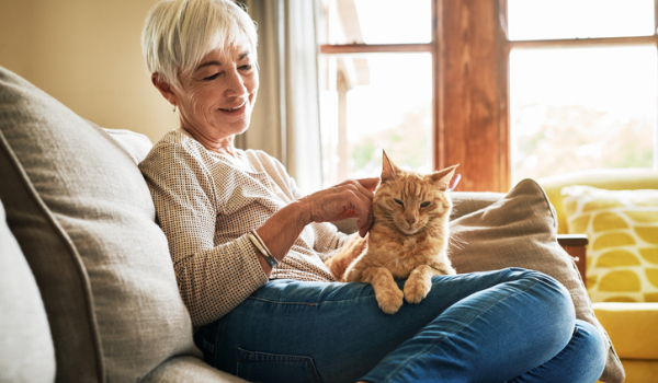 疫情期間，非營利計畫擴大運作，幫助年長者領養並照顧寵物Non-profit pet program expands to help seniors adopt and keep pets